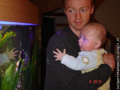 Mon passe temps favori:regarder l'aquarium de papa !